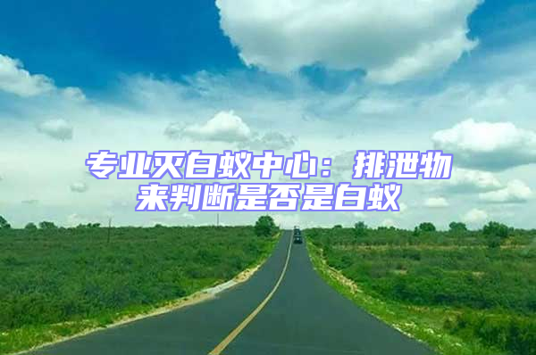 專業滅白蟻中心:排泄物來判斷是否是白蟻