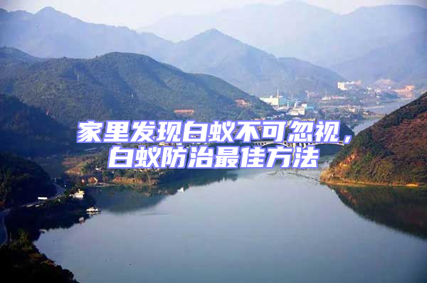家里發(fā)現(xiàn)白蟻不可忽視,白蟻防治最佳方法