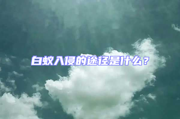 白蟻入侵的途徑是什么?