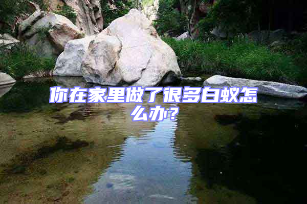 你在家里做了很多白蟻怎么辦？