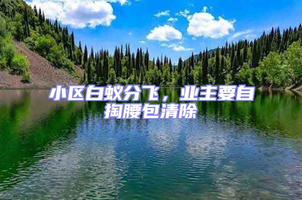 小區白蟻分飛,業主要自掏腰包清除