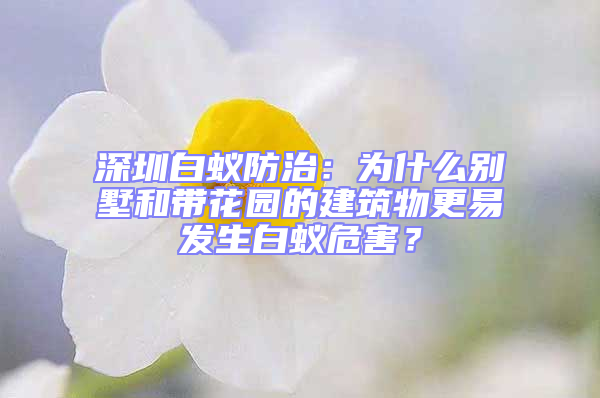 深圳白蟻防治:為什么別墅和帶花園的建筑物更易發(fā)生白蟻危害?