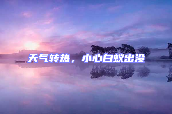 天氣轉熱,小心白蟻出沒