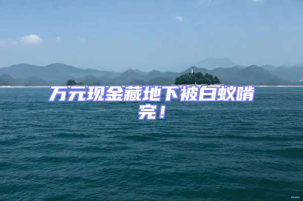萬元現金藏地下被白蟻啃完!