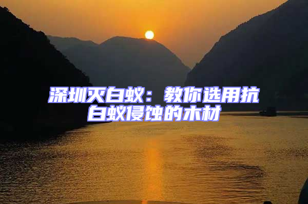 深圳滅白蟻:教你選用抗白蟻侵蝕的木材