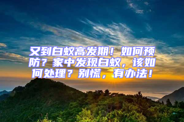又到白蟻高發(fā)期!如何預(yù)防?家中發(fā)現(xiàn)白蟻,該如何處理?別慌,有辦法!