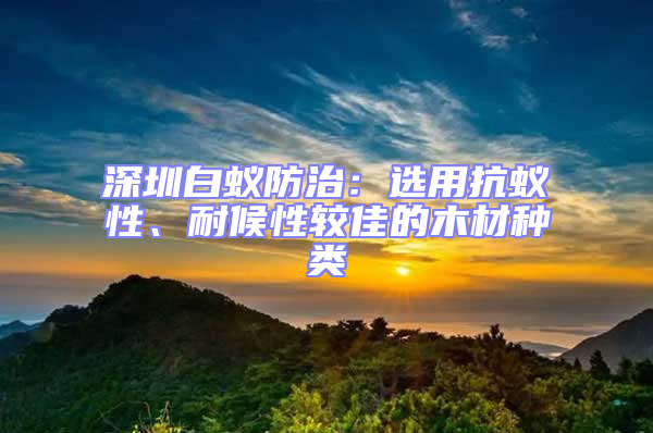 深圳白蟻防治：選用抗蟻性、耐候性較佳的木材種類