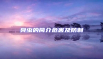 臭蟲的簡介危害及防制
