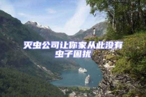 滅蟲公司讓你家從此沒(méi)有蟲子困擾