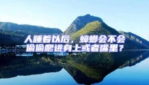 人睡著以后,蟑螂會不會偷偷爬進身上或者嘴里?