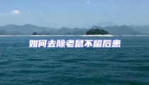如何去除老鼠不留后患