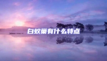 白蟻巢有什么特點
