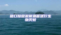 磴口投放泥鰍魚(yú)苗進(jìn)行生物滅蚊