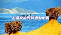 為啥家庭滅蟑螂有必要