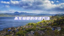 殺死蟑螂的快速方法