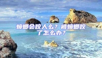 蟑螂會(huì)咬人么?被蟑螂咬了怎么辦?