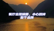 餐廳出現蟑螂,小心毀掉整個品牌