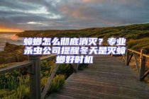 蟑螂怎么徹底消滅？專業殺蟲公司提醒冬天是滅蟑螂好時機