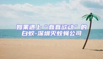 如果遇上“蠢蠢欲動”的白蟻-深圳滅蚊蠅公司