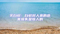 滅白蟻:白蟻對(duì)人類(lèi)的危害損失是驚人的