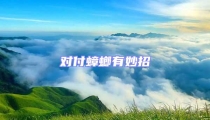 對付蟑螂有妙招