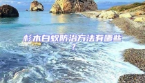 杉木白蟻防治方法有哪些?