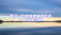 晉江:白蟻快把屋頂吃垮了,防治趁當時