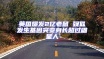 英國爆發2億老鼠 疑似發生基因突變身長超過喵星人