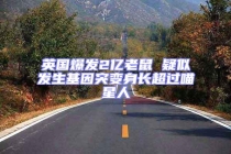 英國(guó)爆發(fā)2億老鼠 疑似發(fā)生基因突變身長(zhǎng)超過喵星人