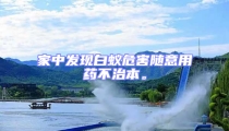 家中發現白蟻危害隨意用藥不治本。