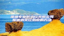 深圳專業防治紅火蟻公司報道消滅紅螞蟻的方法