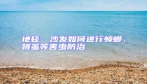 地毯、沙發如何進行蟑螂、跳蚤等害蟲防治