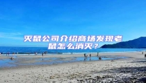 滅鼠公司介紹商場發現老鼠怎么消滅?