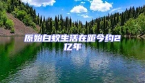 原始白蟻生活在距今約2億年