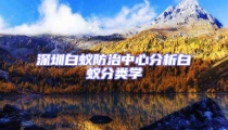 深圳白蟻防治中心分析白蟻分類學(xué)
