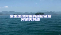 家里出現(xiàn)臭蟲的原因及如何消滅臭蟲