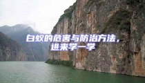 白蟻的危害與防治方法,進(jìn)來學(xué)一學(xué)