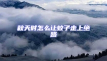 秋天時(shí)怎么讓蚊子走上絕路