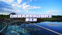 白蟻和其他蟻科動物的主要區(qū)別