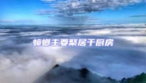 蟑螂主要聚居于廚房