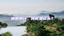 蟑螂橫行,何時(shí)是盡頭?