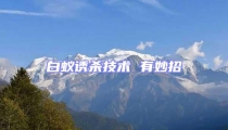 白蟻誘殺技術(shù) 有妙招