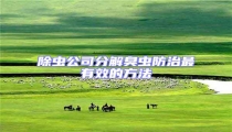 除蟲公司分解臭蟲防治最有效的方法