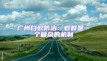 廣州白蟻防治:蟻群是一個復(fù)雜的機制