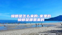 蟑螂是怎么來的-家里的蟑螂是哪里來的