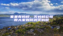 家里有螞蟻,滅螞蟻公司教大家如何消滅螞蟻
