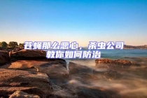 蒼蠅那么惡心，殺蟲(chóng)公司教你如何防治