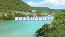 熏蒸殺蟲(chóng)技術(shù)是什么