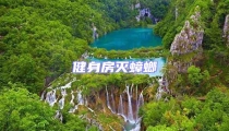健身房滅蟑螂