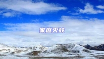家庭滅蚊